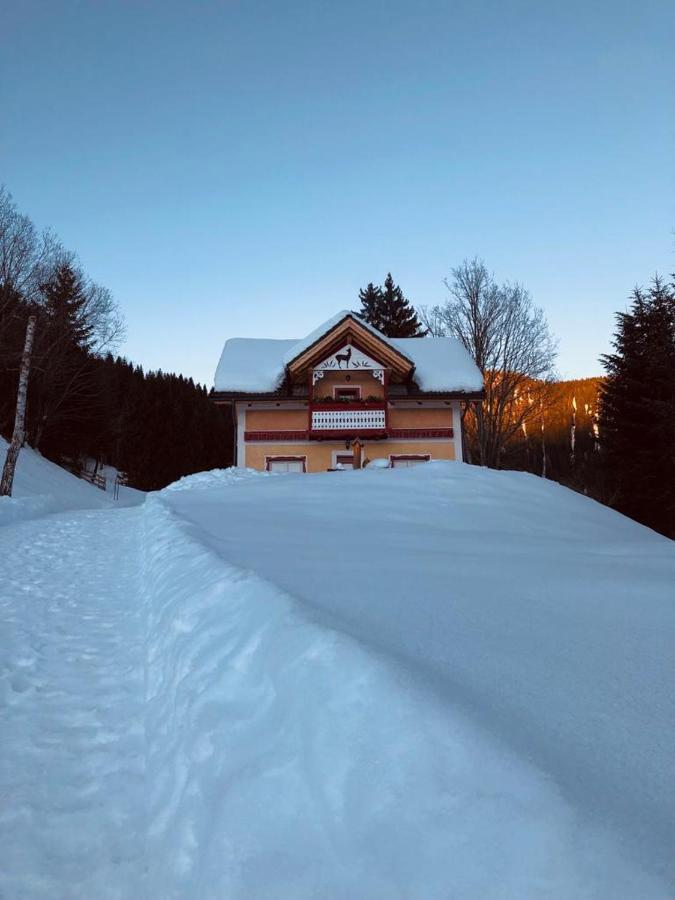 Baita Alpenrose Villa Ugovizza Esterno foto