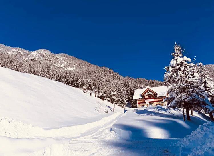 Baita Alpenrose Villa Ugovizza Esterno foto