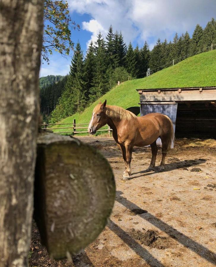 Baita Alpenrose Villa Ugovizza Esterno foto