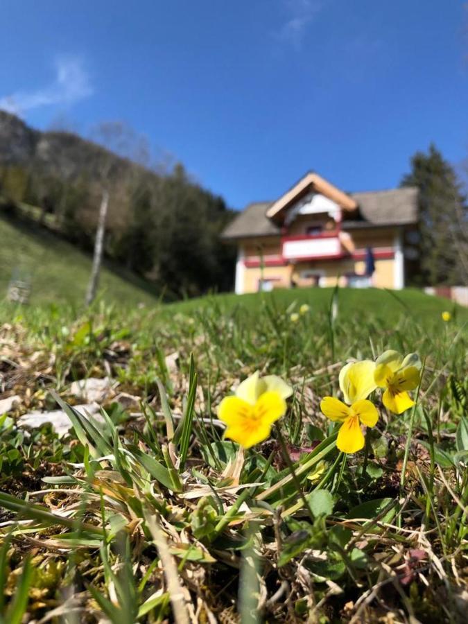 Baita Alpenrose Villa Ugovizza Esterno foto