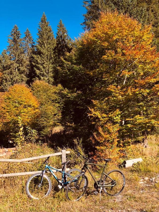 Baita Alpenrose Villa Ugovizza Esterno foto