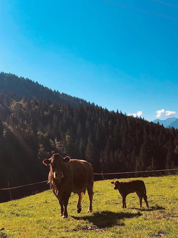 Baita Alpenrose Villa Ugovizza Esterno foto